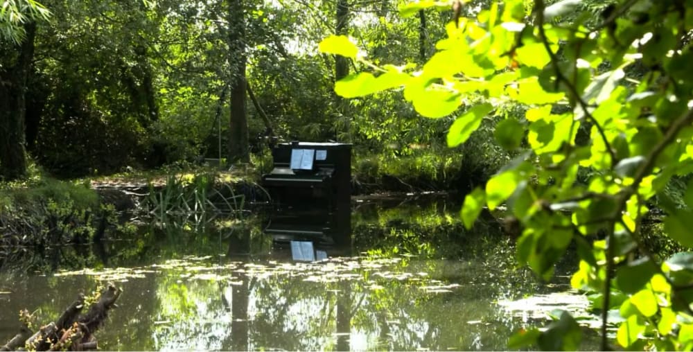 Piano sinking in a swamp.