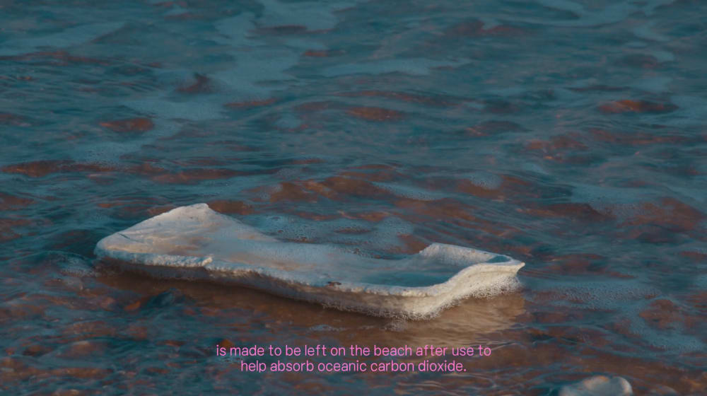 styrofoam floating in the ocean