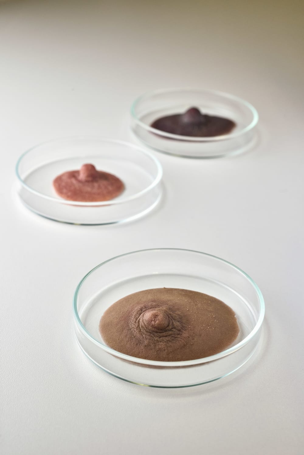 bio-prosthesis of areolae and nipples