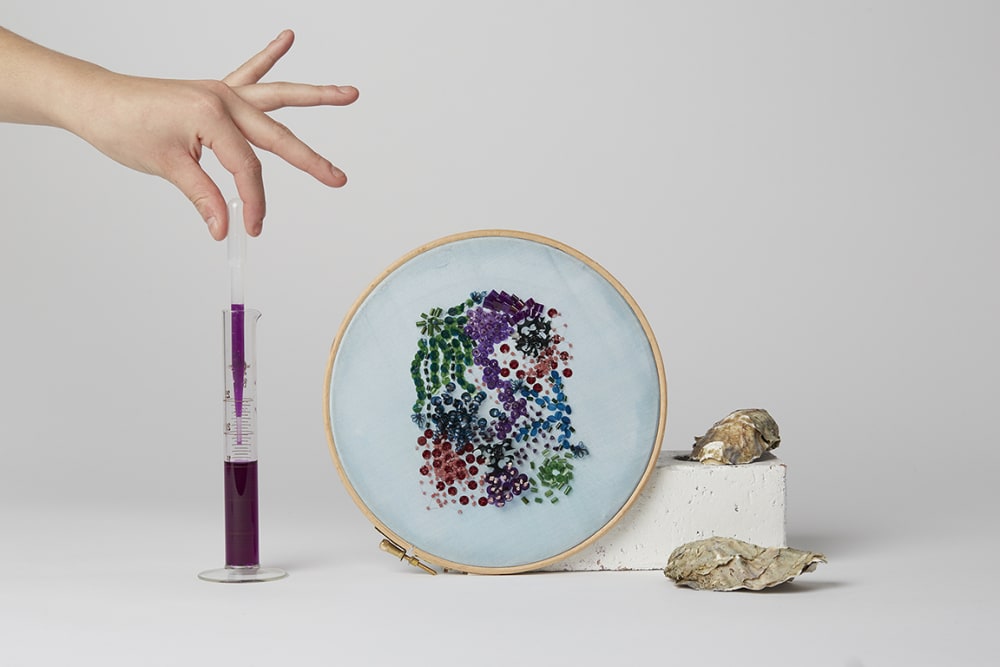 Arrangement of oyster shells, embroidered fabric and test tube holding coloured liquid