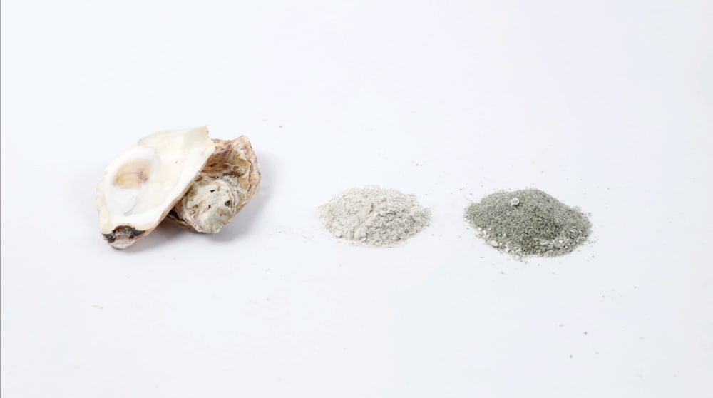 a close up of ground oyster shells