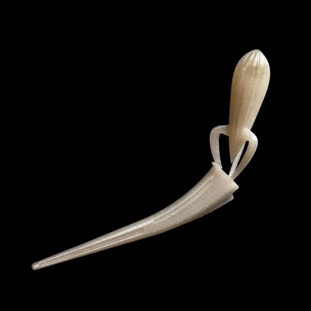 A 3D-scan of a 3D-printed object, in an off-white colour. The top part of the object has the form of a lemon squeezer, with a ridged appearance, rounded top and pointy bottom. Three arms come out of this and attach to the bottom part of the object, which is long, curved and thins towards the end.