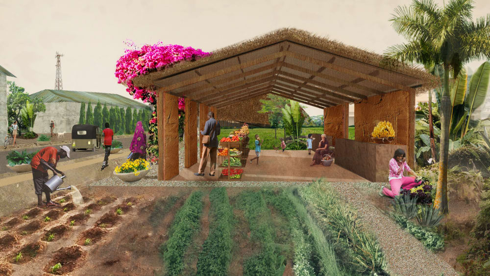 A food growing project with beds of plants and a sheltered area, northern Nigeria