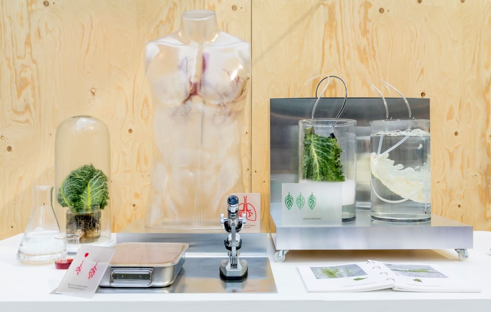 On the table, there are several things on display. This includes a science beaker, a plastic shape of a male body, a microscope, a book with more information about the installation. It also includes several other beakers with cabbages being grown