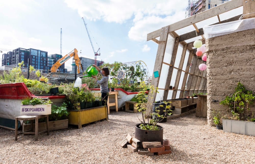 A person watering plants in a community garden