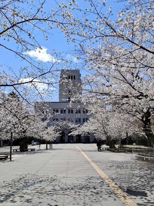 University building with blooming sakuras and blue skies.