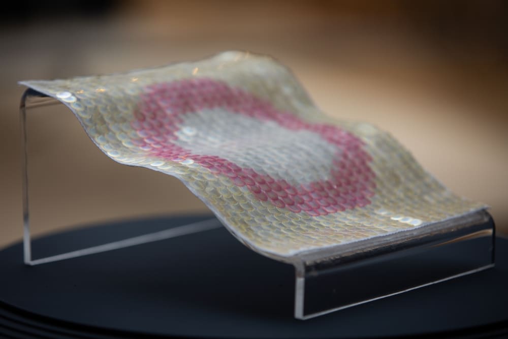 A patch of pink and transparent sequins