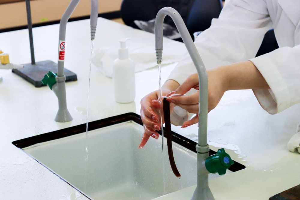 MSc Cosmetic science student washing out hair piece