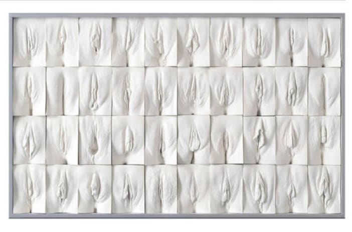 a wall of plaster casts of vaginas