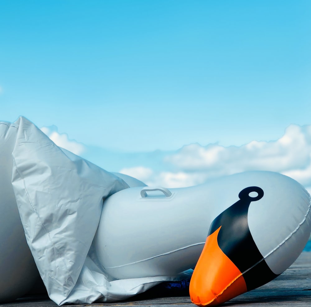 An inflatable swan