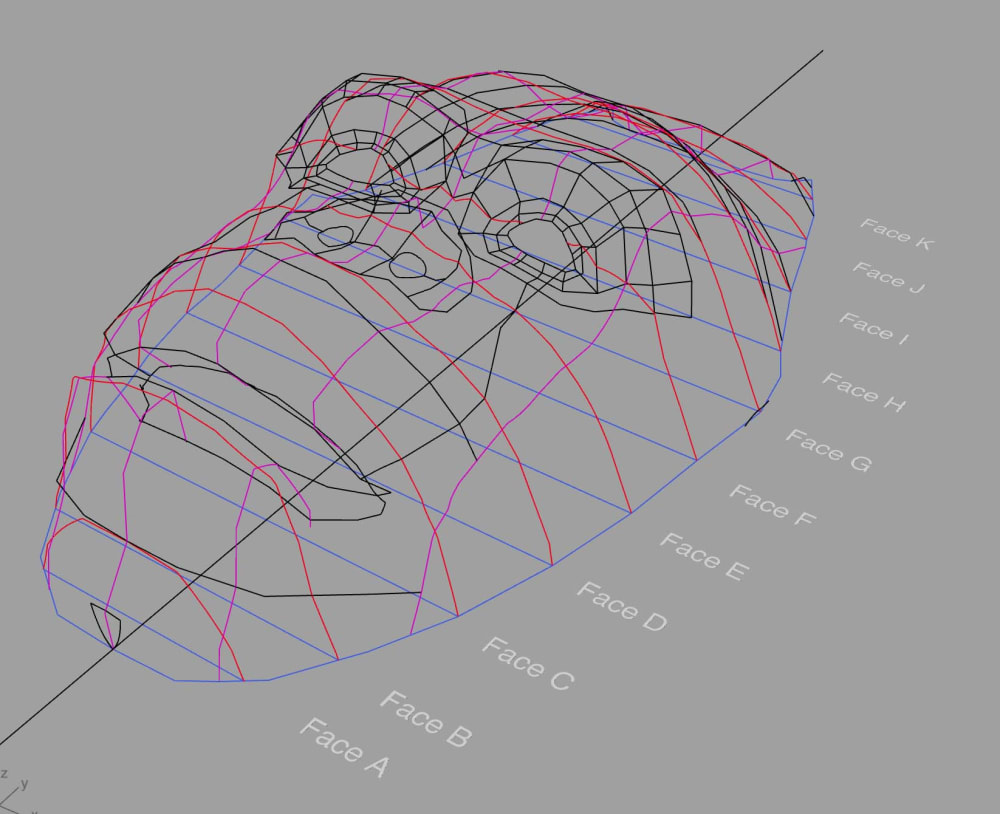 A CAD 3D digital plan of the gorilla face with a grey background and contours showing in red, pink, black and blue.