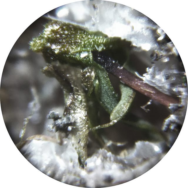 Detailed image of a surface