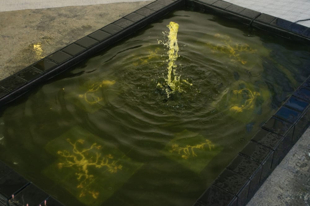 Rectangular fountain