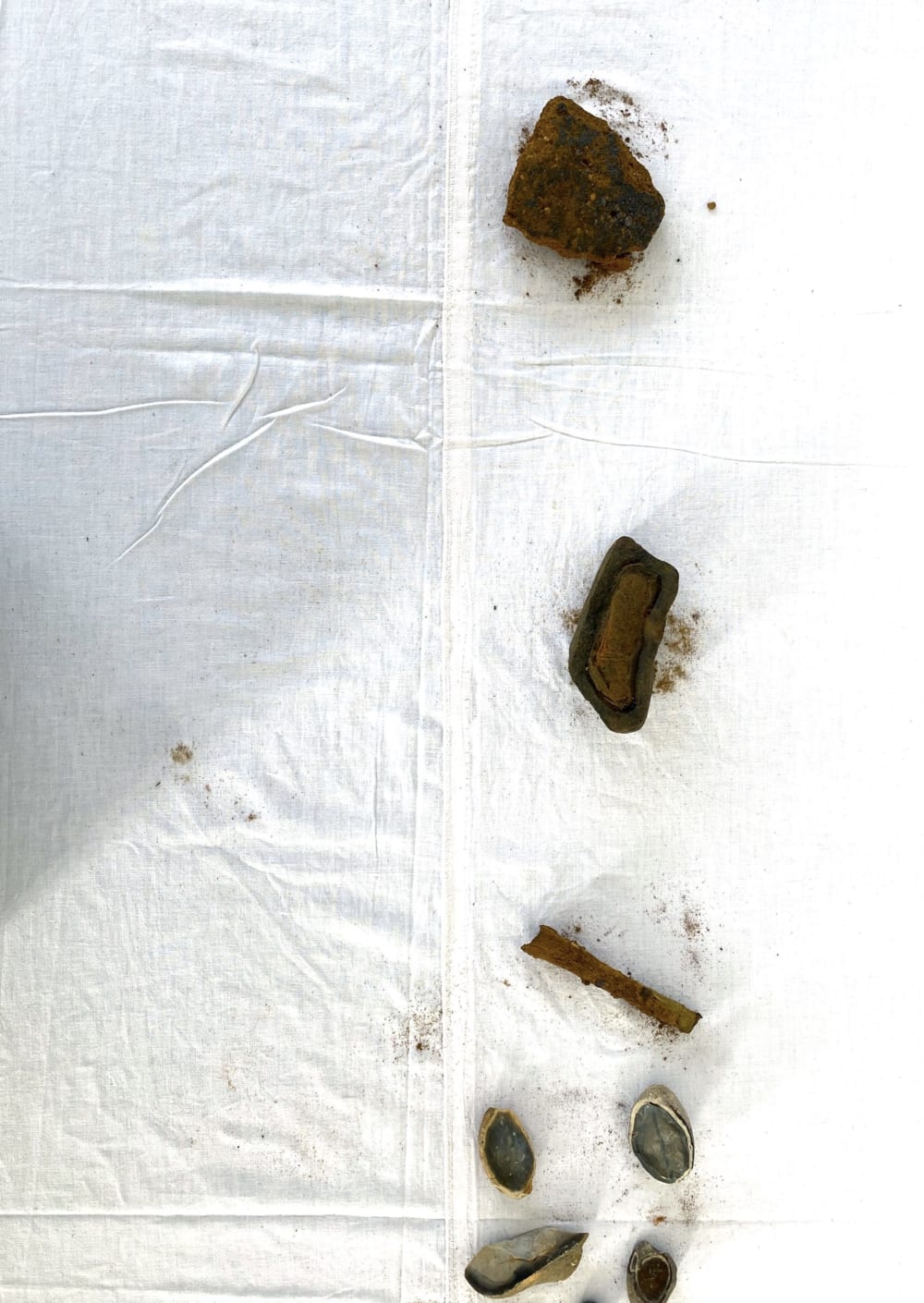 collection of rocks on a table