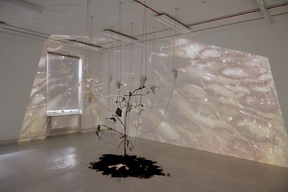 An installation of conceptual art, a sculpture with string hanging from the ceiling connects to sculptural pieces which resemble the female anatomy. The string interweaves into a structure which is positioned on the floor and surrounded by soil, as though a tree is growing. A projection overlays the installation. 