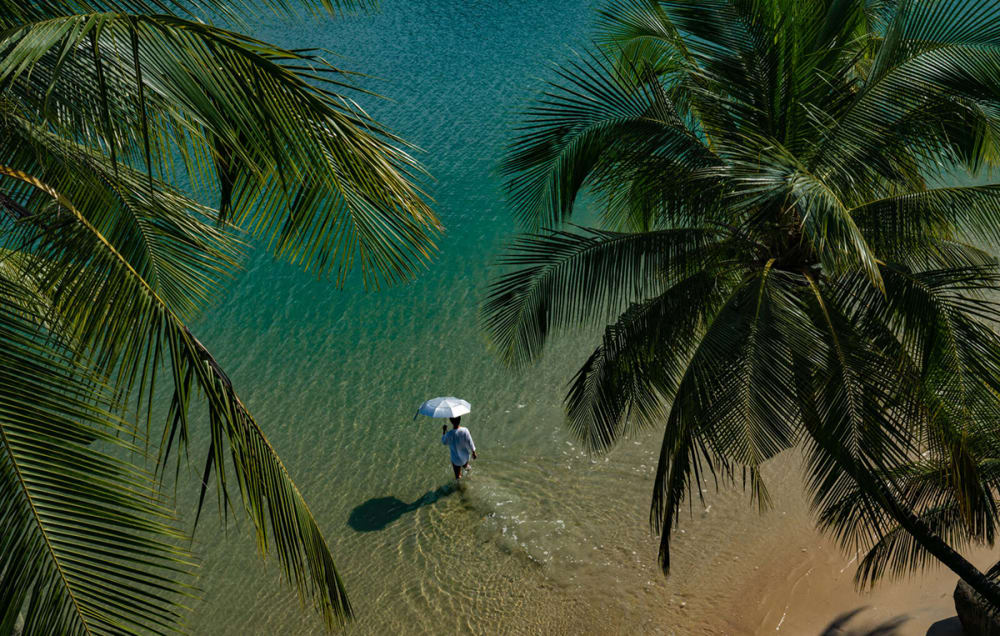 Aerial shot of the sea and palm trees.