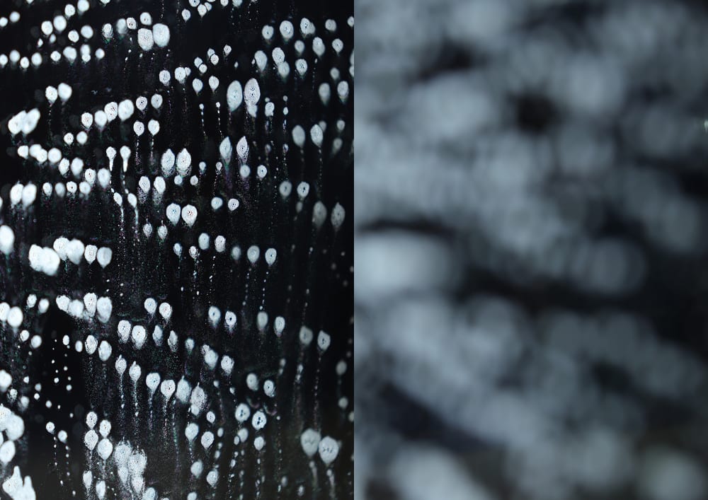 Photography by Martin Del Busto of soap bubbles.