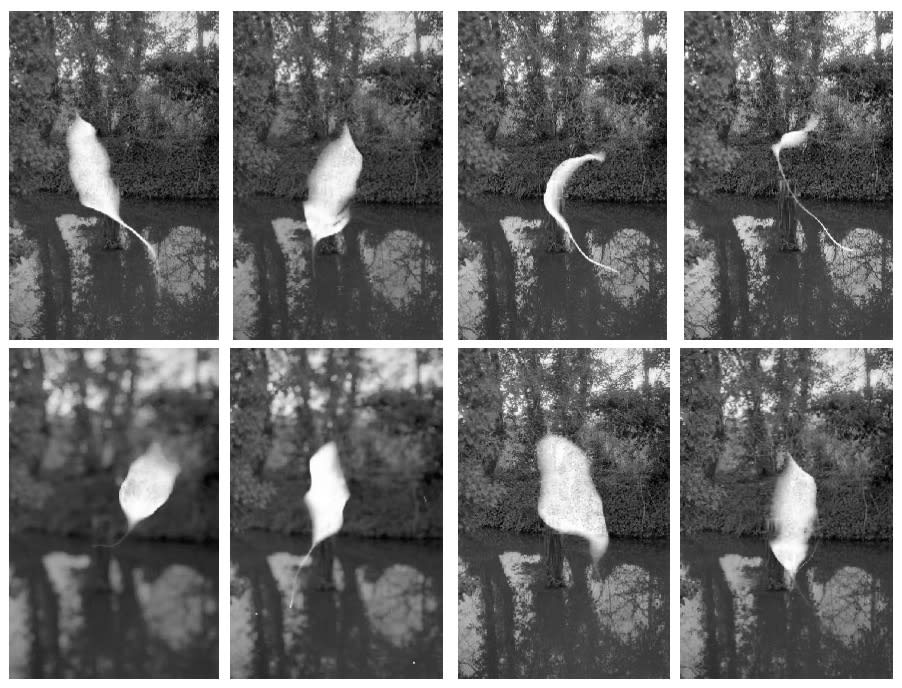 Under Everything project