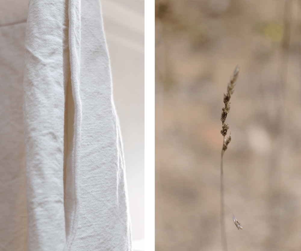 Colour and texture sampling in tune with dormant gardens and landscapes