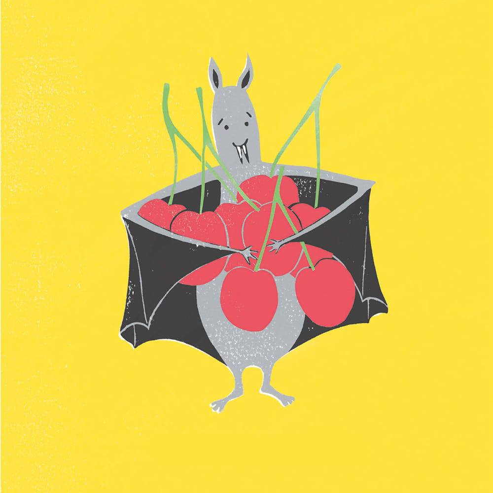 Illustration of a bat from children's book by Morag Hood