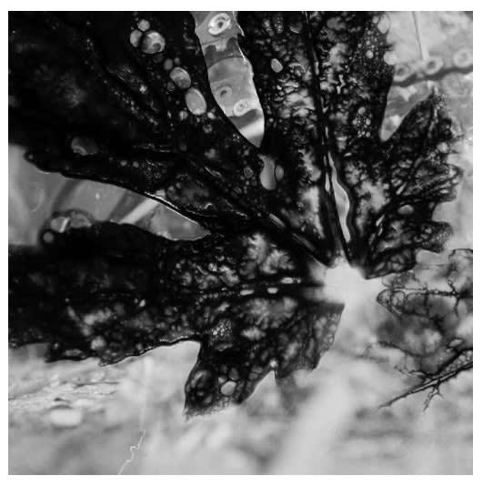 Under Everything project