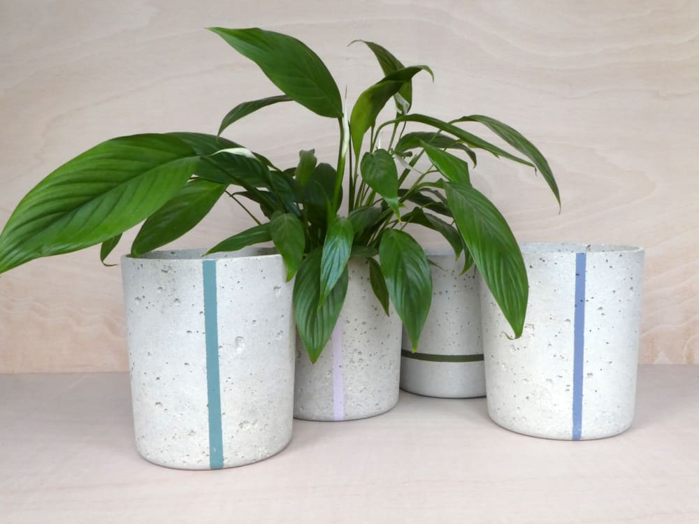 Four concrete plant pots, with plants in