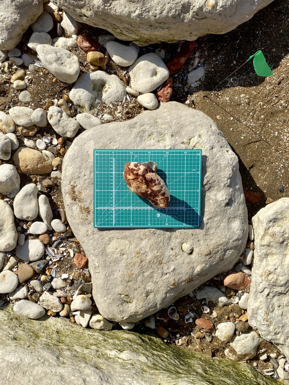 rock displayed on green card on top of more rocks
