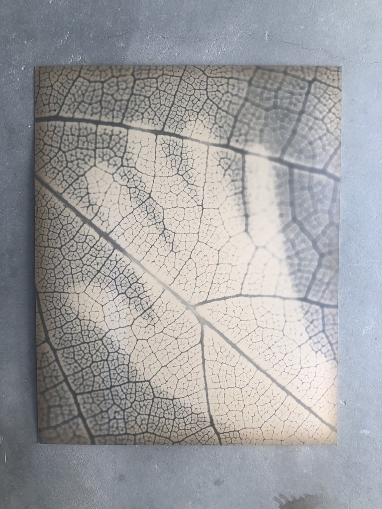 hand printed photograph