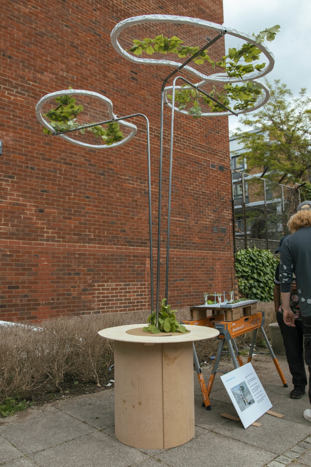 A metal tree emerging from a wooden handmade base. The tree has three metal branches with three kidney shaped bases for leaves to grow and rest on. 