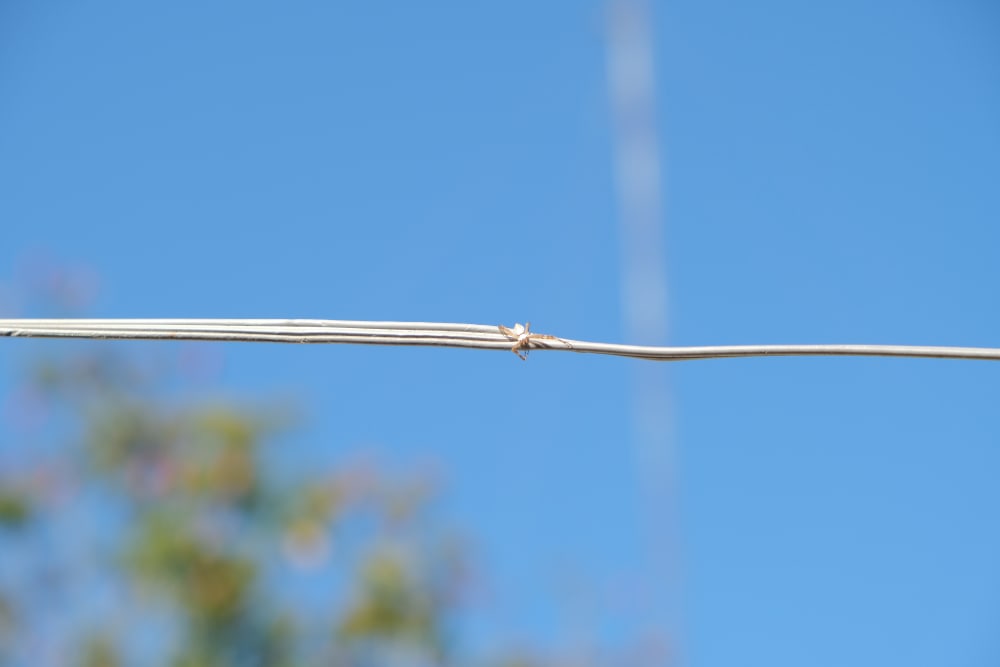 Photograph of a tiny spider on a washing line with a blue sky in the background. 