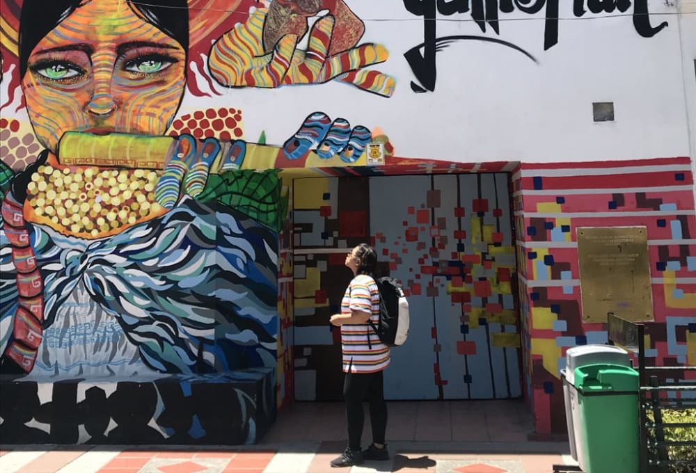 a photo of a person looking up at a large colourful mural on the street