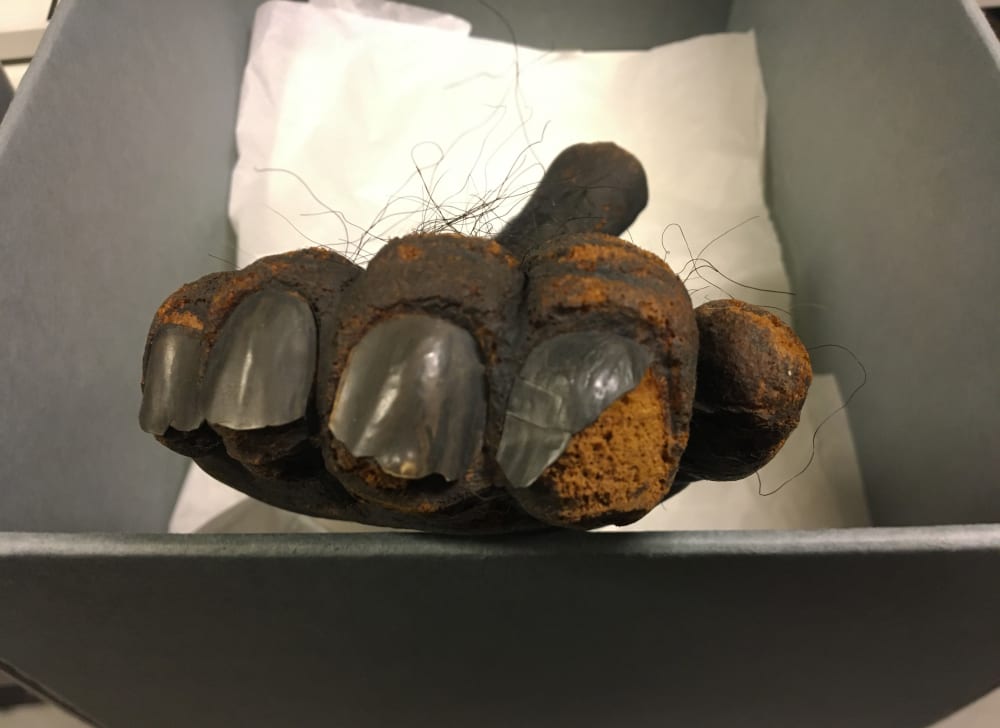 Toes and broken toenails of ape costume