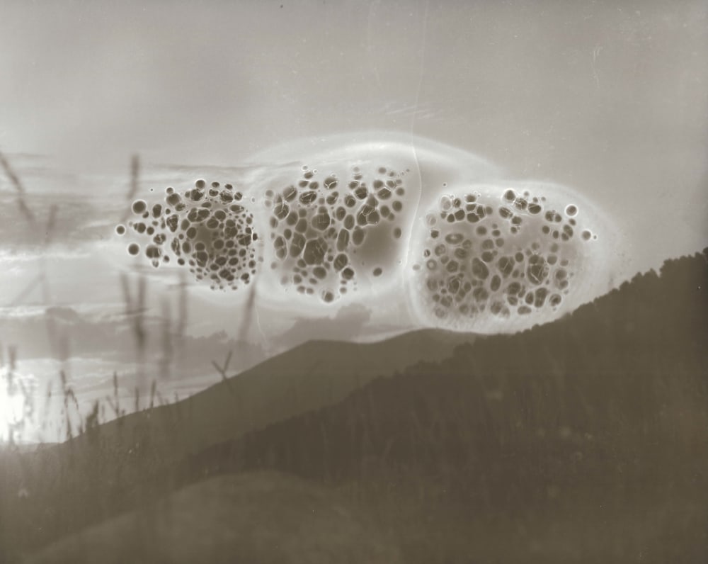 a handprinted photograph of a spanish natural landscape