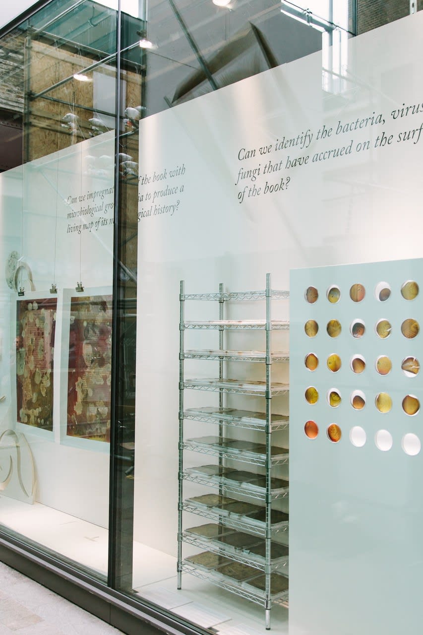 2D work hanging in CSM Window gallery