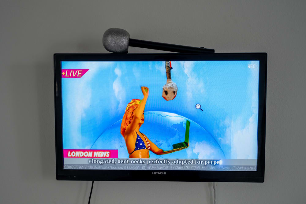 Image shows a TV screen with a woman in a bikini against a blue sky mimicking a live London news broadcast. The subtitles read ‘elongated, bent necks, perfectly adapted’ along the bottom.