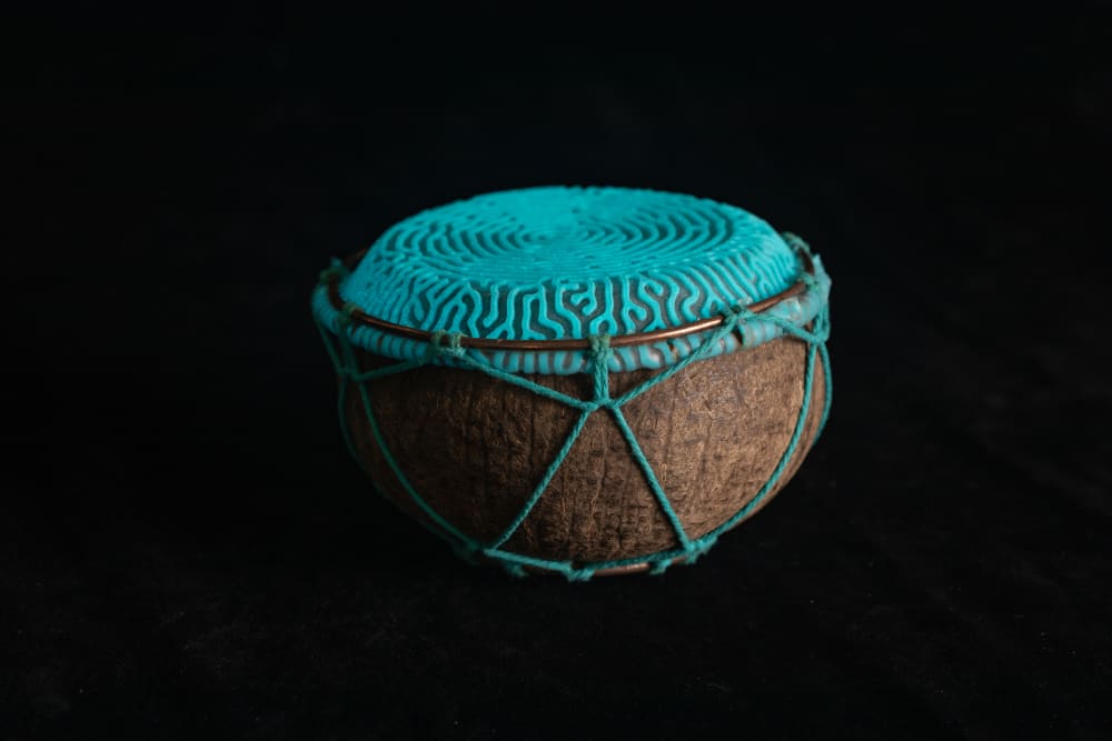 A coconut drum