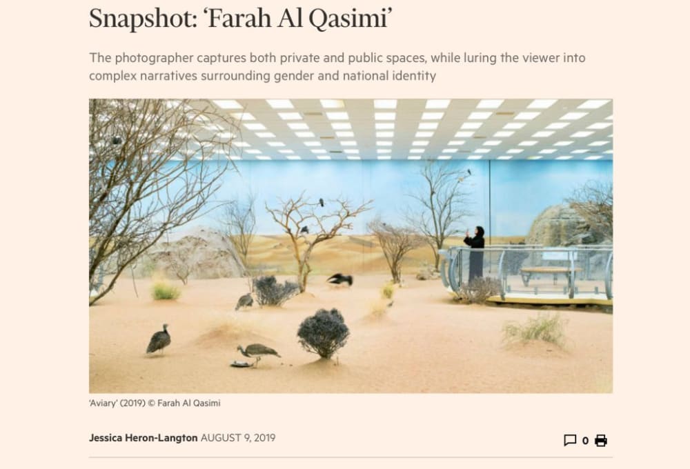 a screenshot from a website displaying an article called 'snapshot: farah al qasimi'