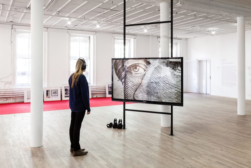 James Richards Rosebud exhibition.