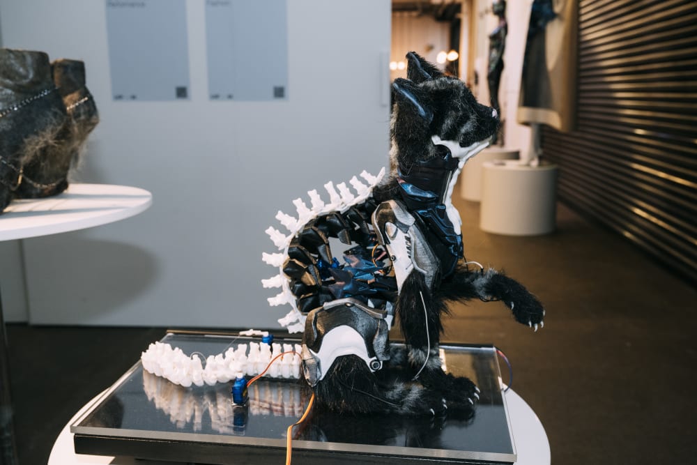 Mechanical Cat Display