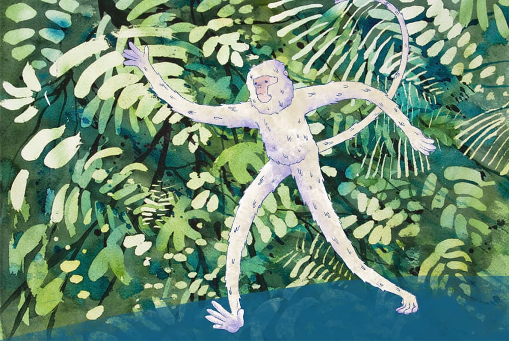 Concept art for the animated monkey design.