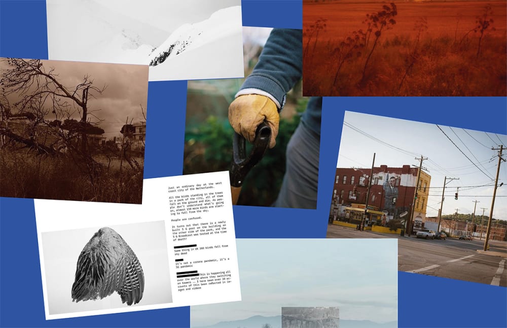 collage of photos and work