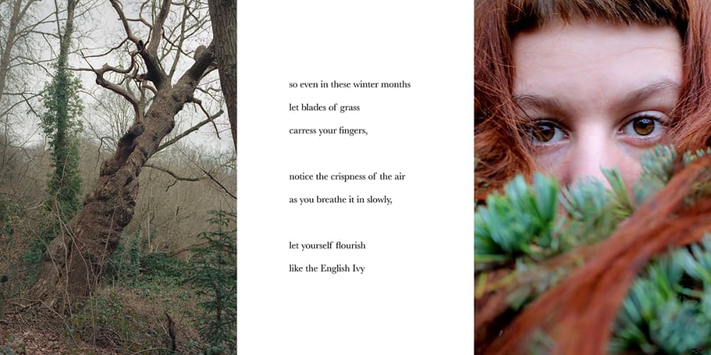 Billboard images juxtaposing nature with poetry.