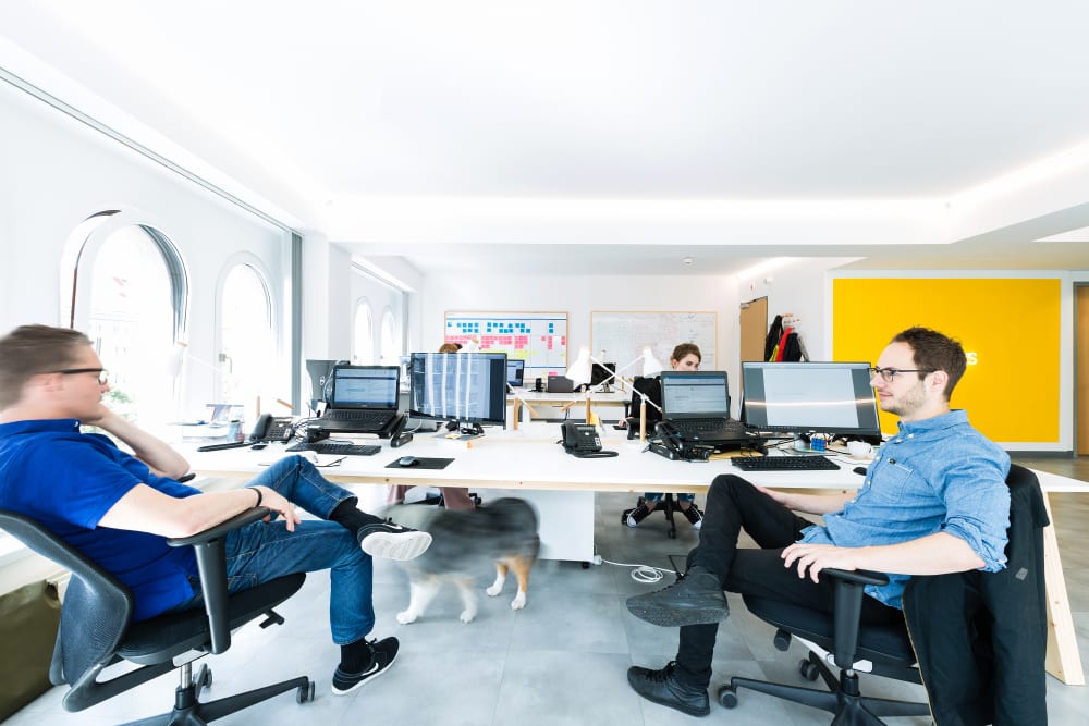 Cogs office space