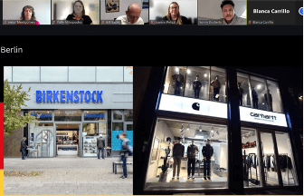 A screenshot of an online meeting