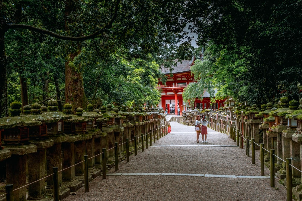 a road lined by stone lanterns