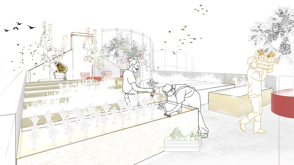 Sketch of gardening area