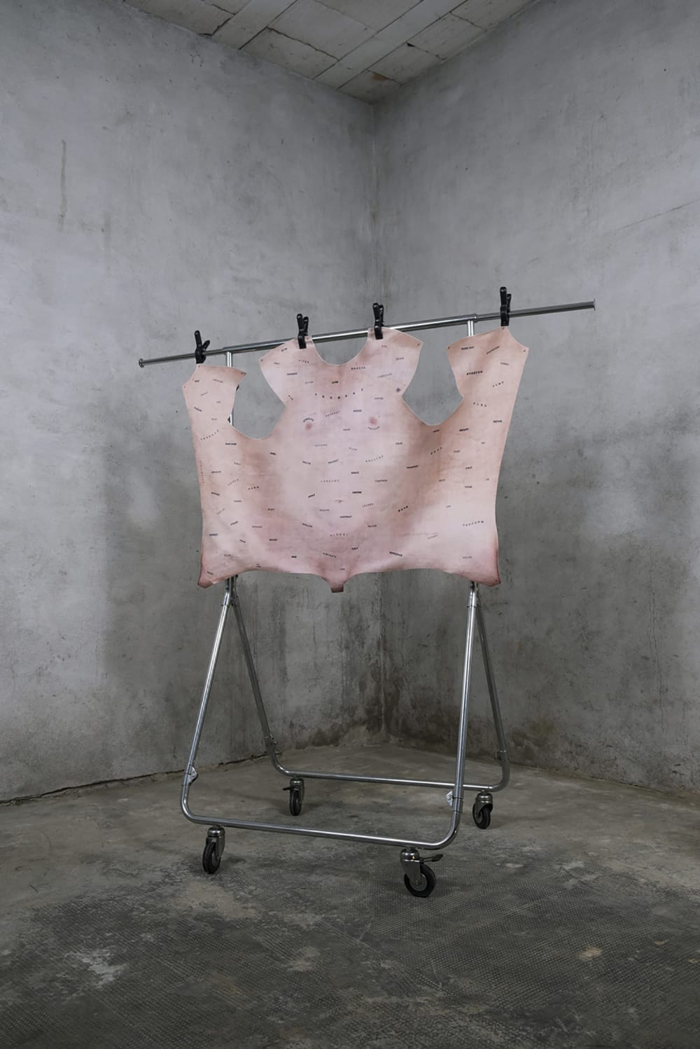 A CGI graphic of a stretched skin.