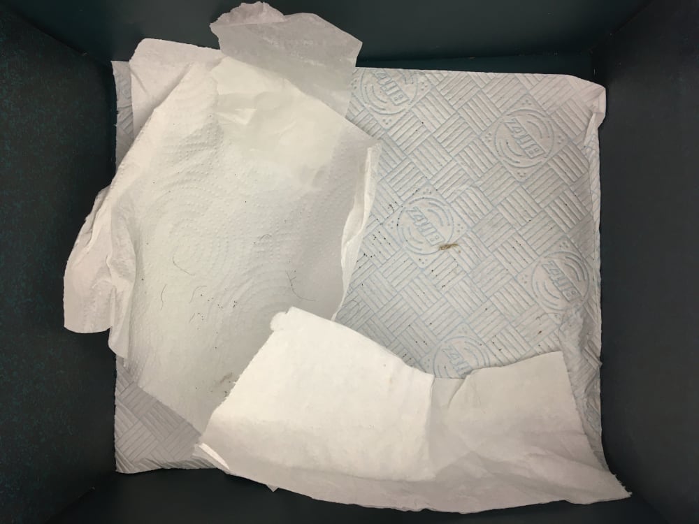 Inside of box with kitchen paper
