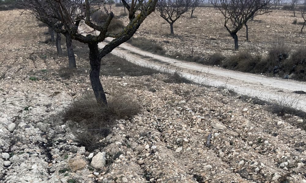 spanish landcape