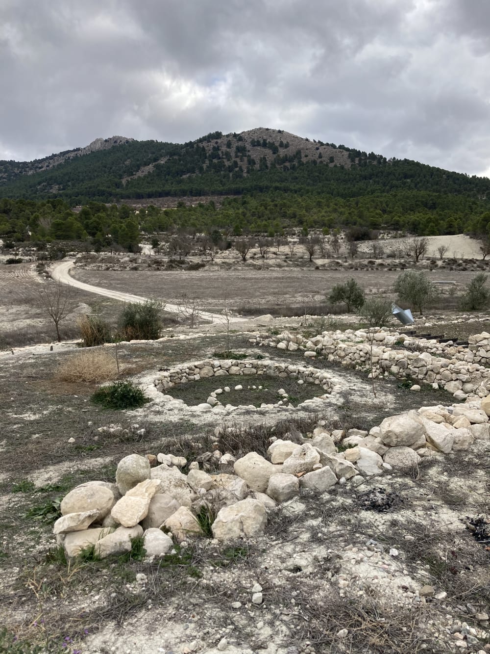 spanish landscape